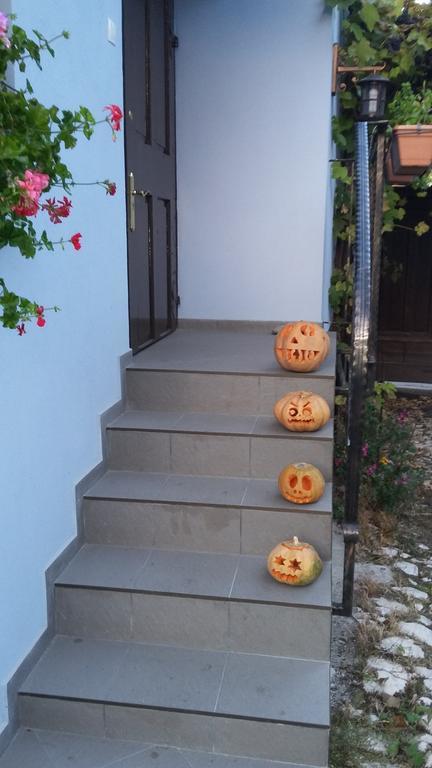 Blue House Otel Braşov Oda fotoğraf